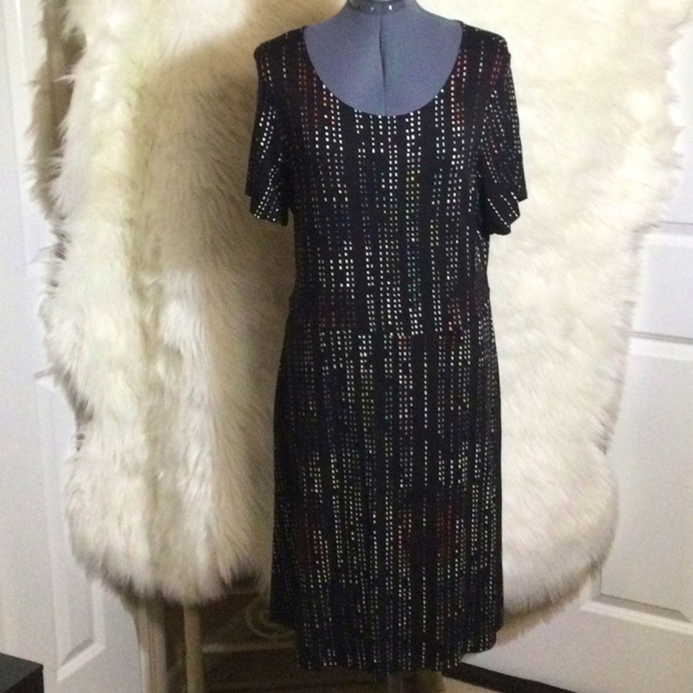 EVRI Dress with Pockets